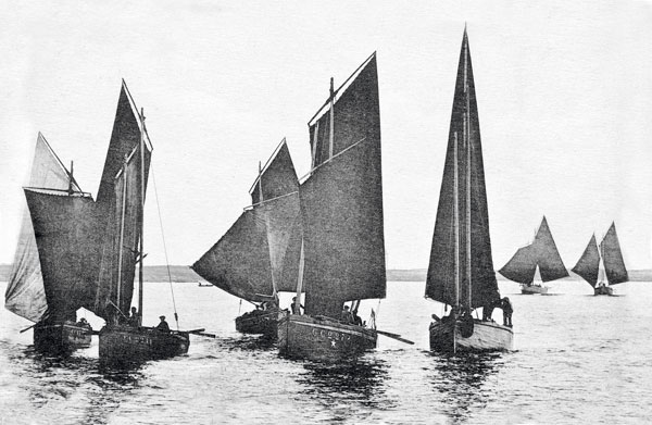 la flottille sardinière de Concarneau