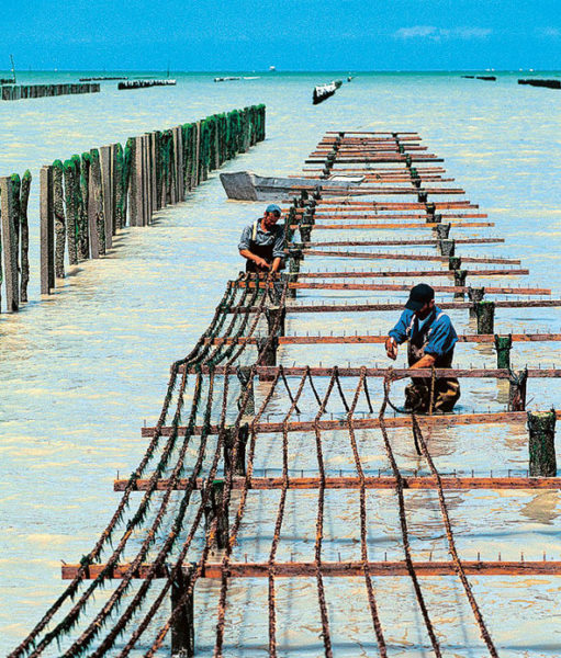 La loi Littoral a pour but d’aménager, de protéger et de mettre en valeur le littoral. Dans ce cadre, elle n’exclut pas les activités économiques dans la bande des 100 mètres, si celles-ci exigent « la proximité immédiate de l’eau ».