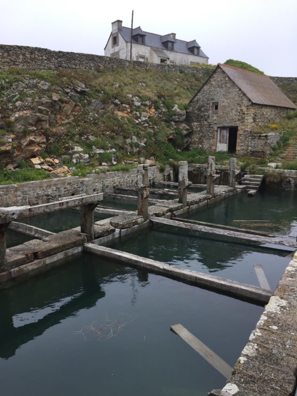 Quelle fonction pour les bassins d’eau de mer ?