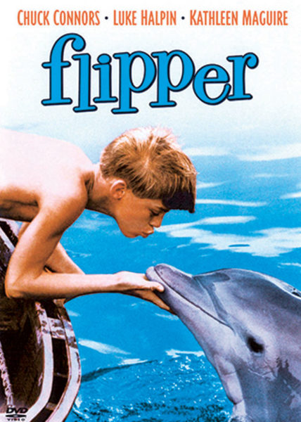 Flipper