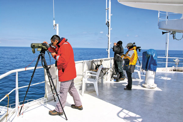 Observation en mer par les scientifiques de Pelagis