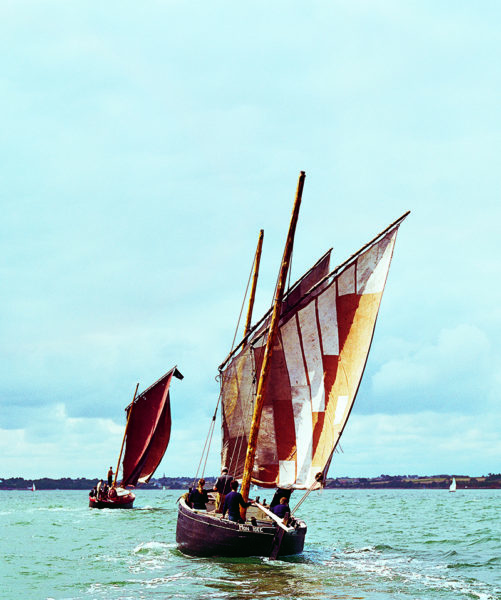 Sinago les voiles rouges du golfe