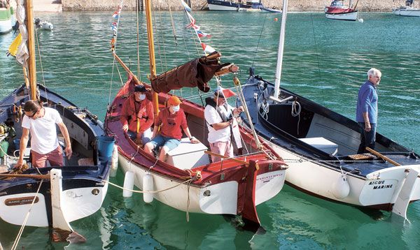 Trois Petit Léjon à couple dans le port d’Erquy. 