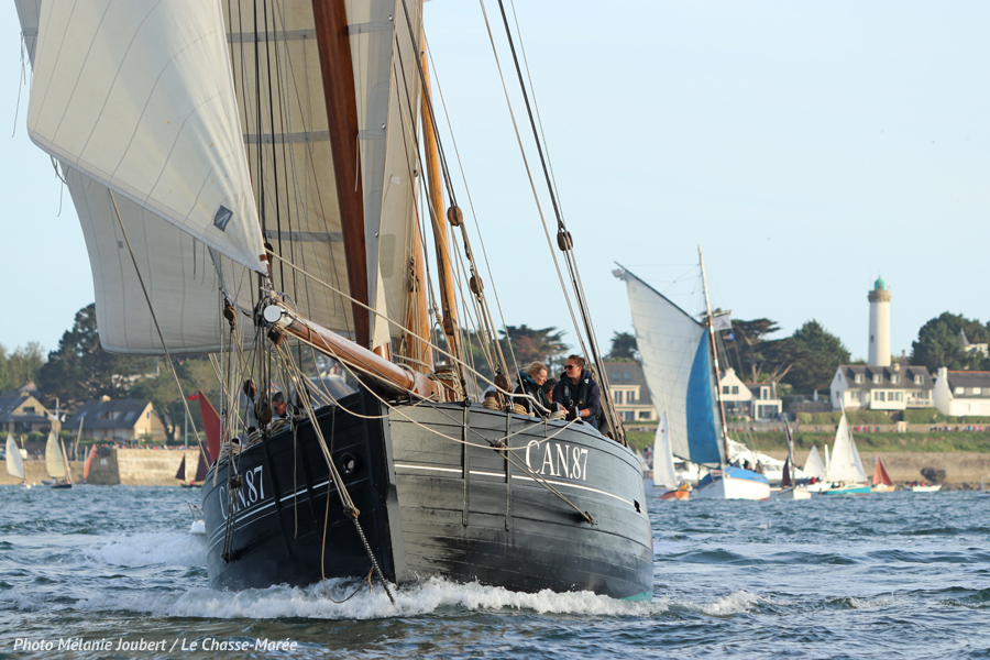 Souvenirs de la semaine du Golfe du Morbihan