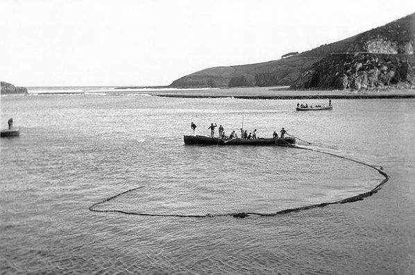 La traînière, bateau de pêche à la voile et à l’aviron plus rapide et plus maniable que la txalupa, s’est développée avec l’apparition du filet tournant de Fontarabie, au cours du xviiie siècle. Ici, les pêcheurs ont mis à l’eau leur senne coulissante, encerclant le banc de sardines.