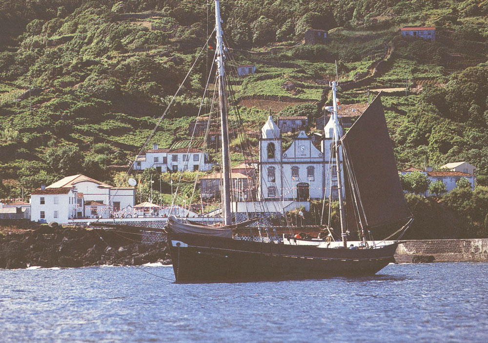 La fleur aux Açores, à la rencontre des cachalots