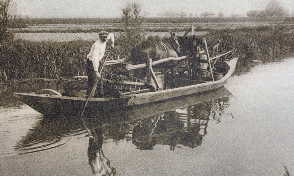 Barquette, escute et bacôve du marais audomarois