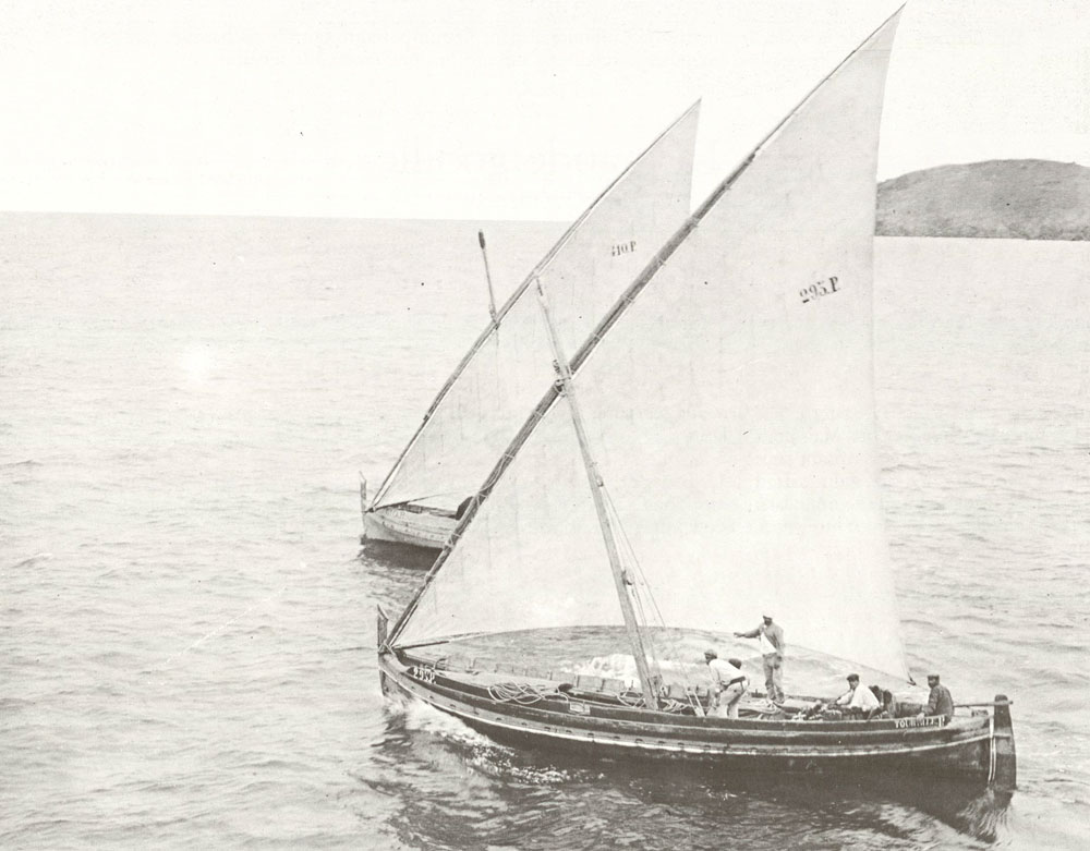 Les barques catalanes de Collioure