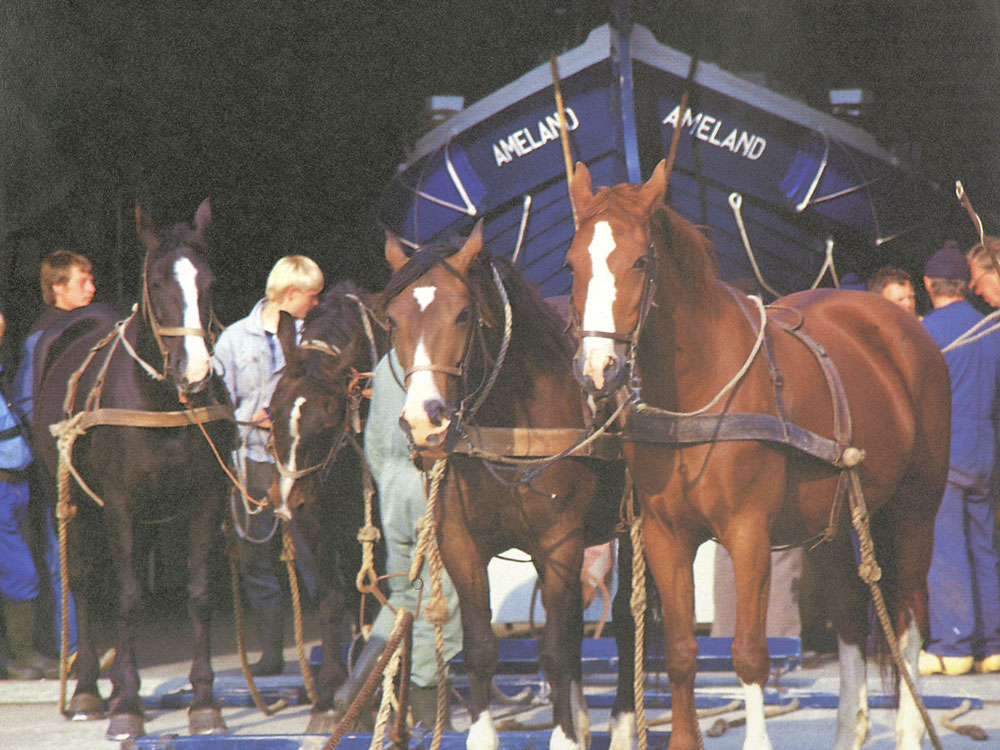 Les chevaux marins d’Ameland Sauvetage traditionnel en Frise