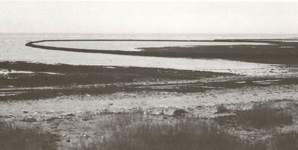 Les écluses à poissons de l’Ile de Ré : construction et exploitation des pêcheries en pierres