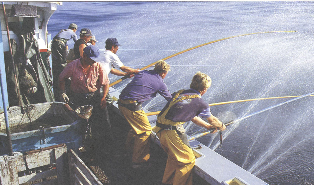 Les pêches basques d’aujourd’hui : En mer avec Luziens