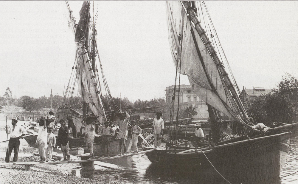 Les saurraïres : lesteurs de Méditerranée