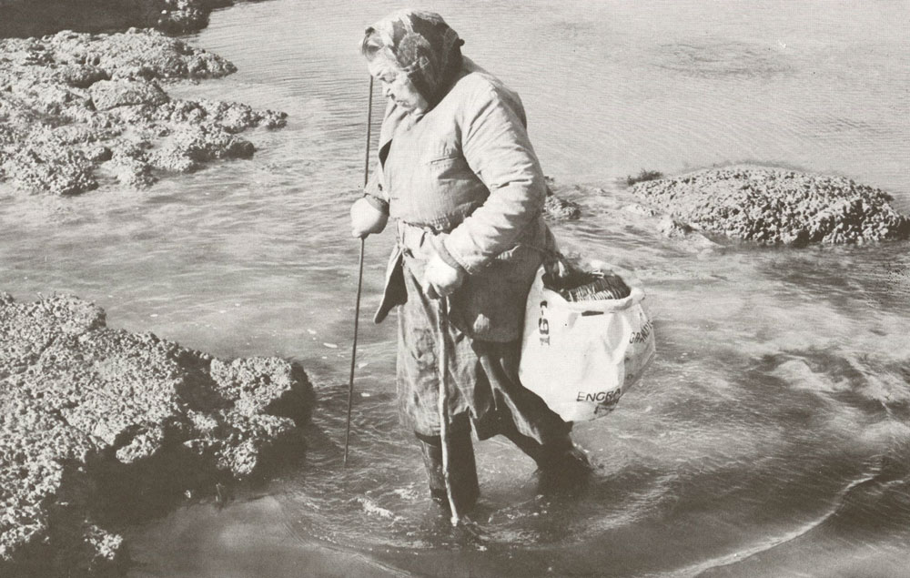 Scènes de pêche à pied en pays talmondais