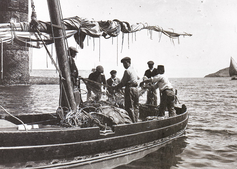 L’anchois de Collioure