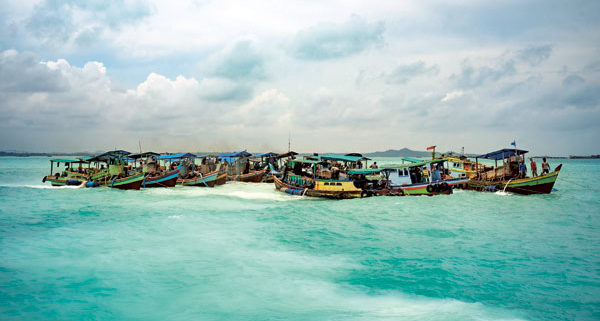 Attirés par de plus gros profits, certains pêcheurs ont transformé leur bateau en véritable usine flottante.