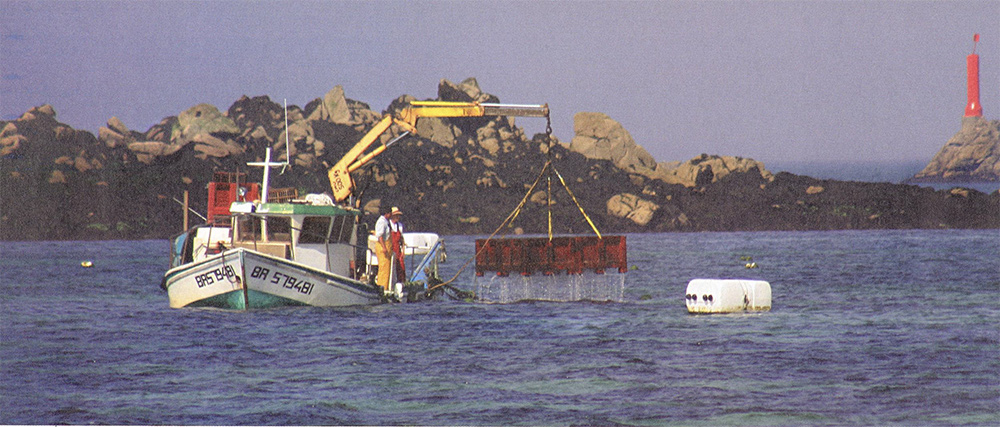 Aber Wrac’h : Ils préfèrent l’ormeau en mer