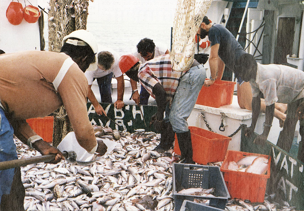 Les océanographes pionniers de l’Orstom : quand les chercheurs se font marins