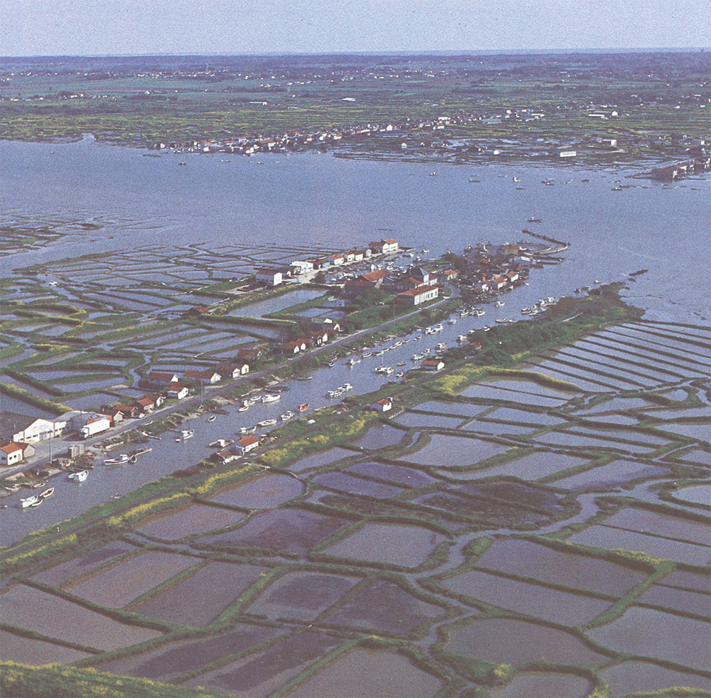 L’aquaculture nouvelle en Charente-Maritime