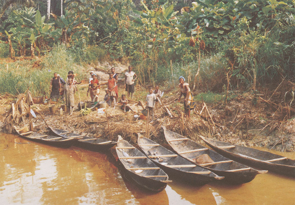 Les pirogues du Niger