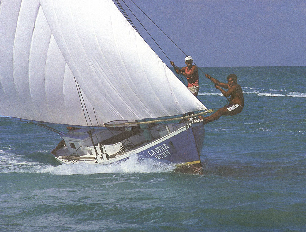Les voiliers du Belize