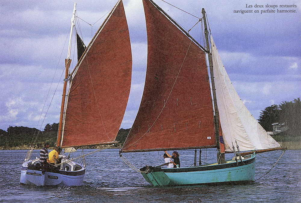 Ma combine et Tout va bien : la belle histoire de deux sloups en Morbihan