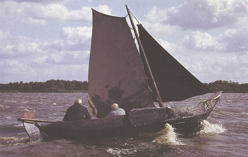 Les Pays-Bas, paradis des voiles brunes