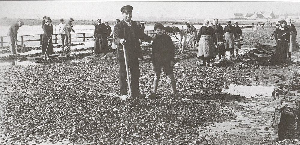 Pêche à pied en petite mer de Gâvres