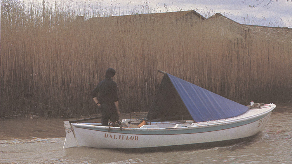 La pêche en Gironde : le dernier grand estuaire sauvage de France