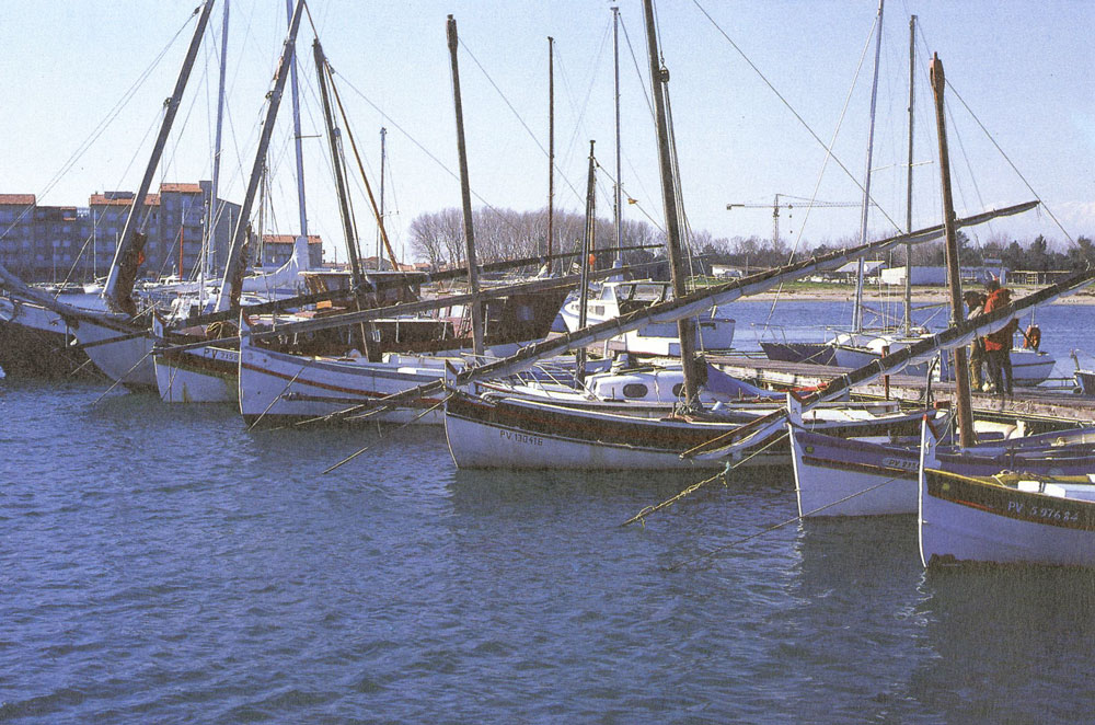 Un musée de la voile latine à Canet