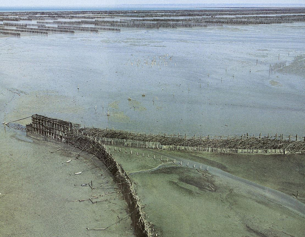 Les pêcheries de la baie de Cancale