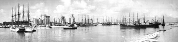 La croissance de Miami est exponentielle au début du xxe siècle.