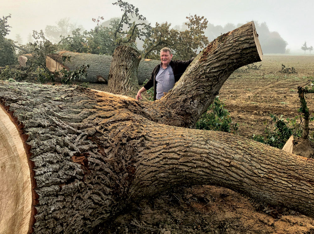 Spécialiste du bois de marine, Thierry Juliot parcourt la France à la recherche des meilleurs arbres