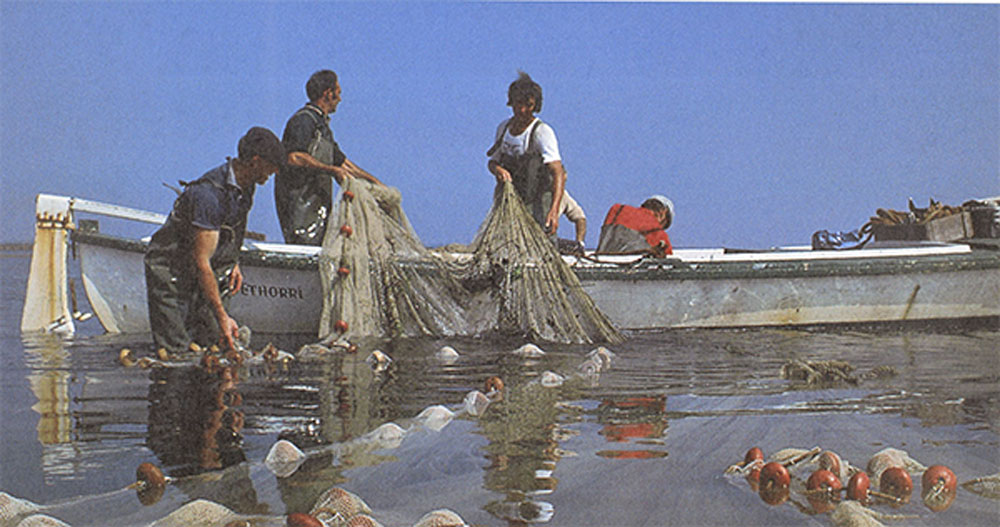 Les petites pêche du bassin d’Arcachon