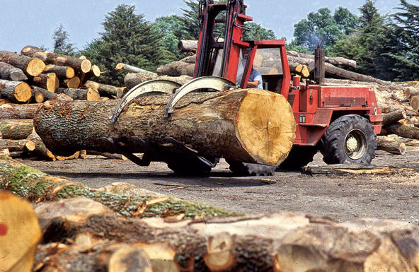 Manutention, dans le parc à grumes, d’un chêne fourni par l’onf en 1990 qui donnera une partie de la future quille de La Recouvrance.