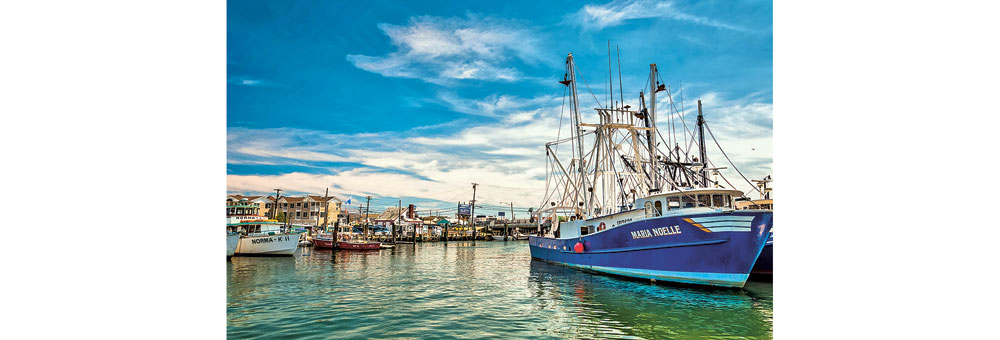 Les poissons vont vers le Nord, les pêcheurs tentent de s’adapter