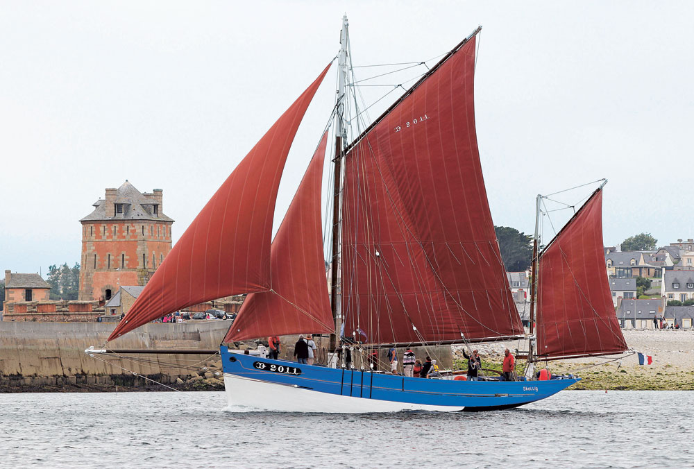 Skellig, une saga langoustière