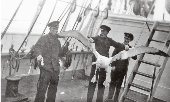 Des cadets de la Marine suédoise avec l’albatros qu’ils ont capturé, dans les années 1920.