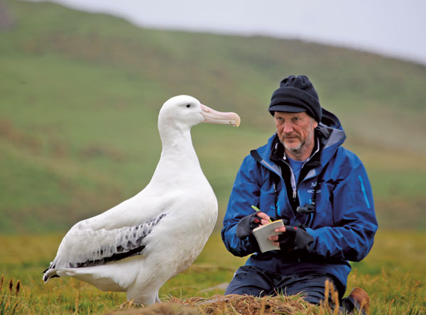 observation d’un albatros hurleur par Henri Weimerskirch dans le cadre du programme européen erc Ocean Sentinel, mené par le cnrs et La  Rochelle Université