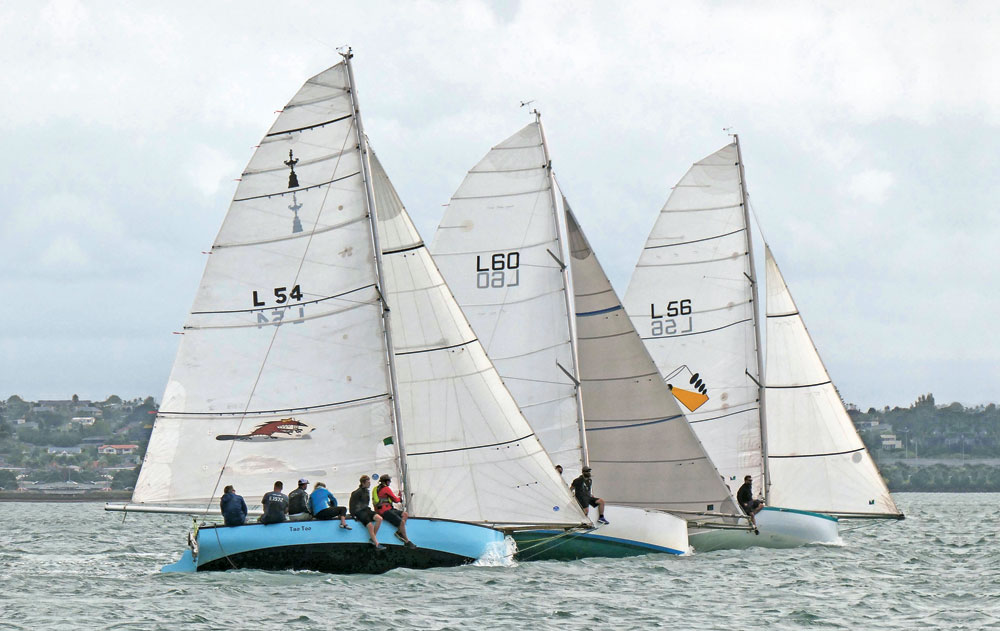 Mullet boats, de la pêche à la régate