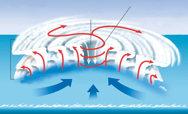 Coupe verticale d’un système cyclonique de l’hémisphère Nord.