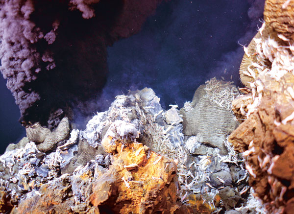 Source hydrothermale active située sur la dorsale médio-atlantique, observée à plus de 3 500 mètres de profondeur en 2017. 