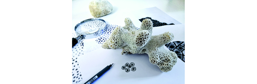 Les coraux et la dentelle
