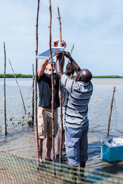 Un programme d’étude de l’arche associe des pêcheuses du Saloum avec des scientifiques sénégalais et français