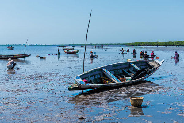 Novembre 2021, sur la vasière de l’île de Falia : la pêche reprend après la mousson, période de repos biologique.