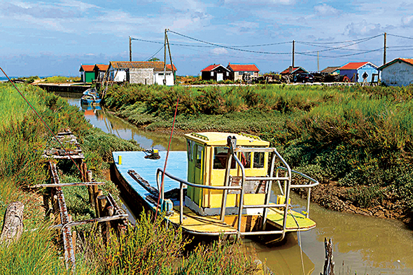 Eric Chaumillon, Fort-Royer, marais de Moëze, montée des eaux