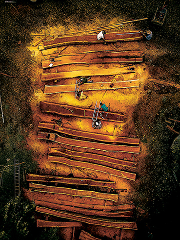 Vue aérienne de la découpe du bois pour la construction du trois-mâts Ceiba.