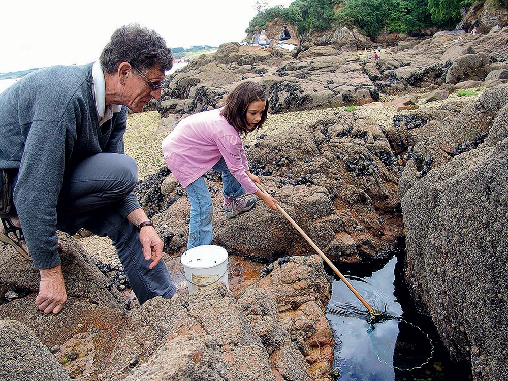 La pêche à pied avec des enfants - Chasse Marée