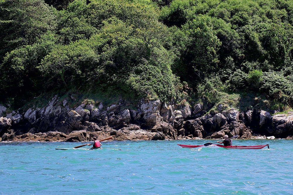 Une croisière en kayak