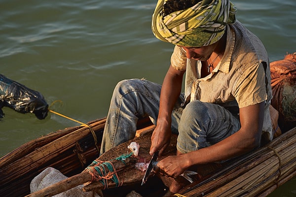 Mengistu en pêche à bord de son nouveau tankwa. L’embarcation est mue à l’aide d’une pagaie double, la masgéria – qui peut aussi servir de planche à découper pour les appâts (ci-dessus). Pour rester au sec, le pêcheur nage assis sur un fagot de papyrus ou gif-gif.