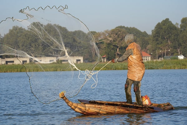 Instable, le tankwa ? Pas pour tout le monde. Le pêcheur à l’épervier se dresse bien droit, debout, pour lancer son filet rond au pourtour lesté de plombs. À l’arrière-plan, ici, Bahir Dar et, bordant le lac, l’omniprésent Cyperus papyrus.